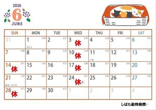 6月　診察カレンダー