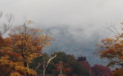 初雪注意