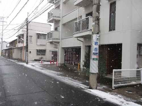 １１月の雪