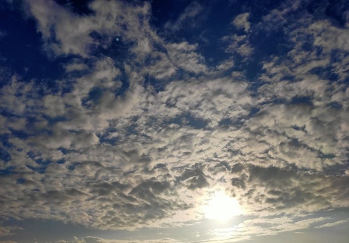 梅雨の合間の夏日