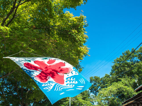 梅雨も明けて夏本番！夏バテしないで下さいね。